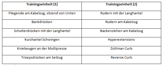 8x8 Training Das Trainingssystem Des Vince Gironda